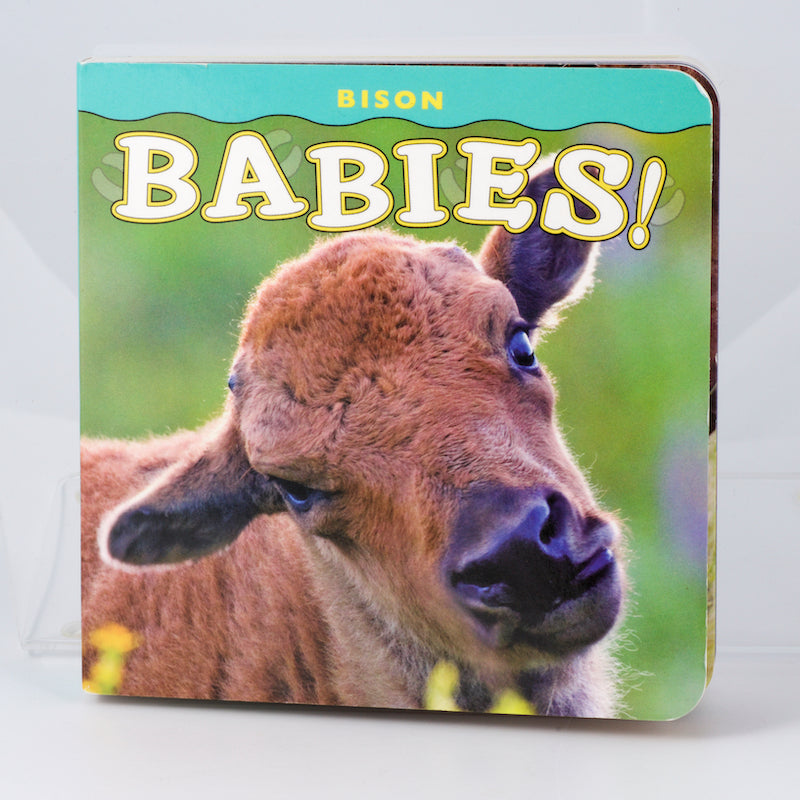 Books (and other buffalo/bison things) for Kids