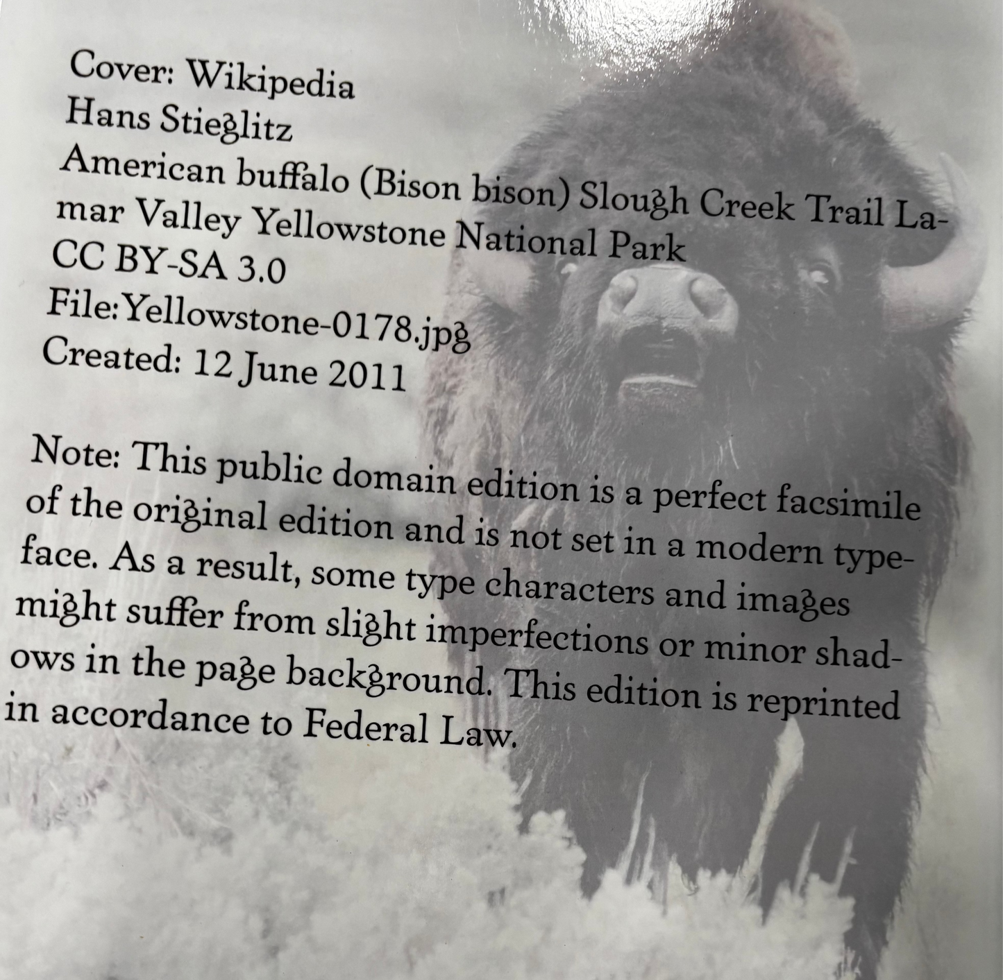 BOOKS - The American Bison: Its Habits, Method of Capture and Economic Use In The North West (Paperback)