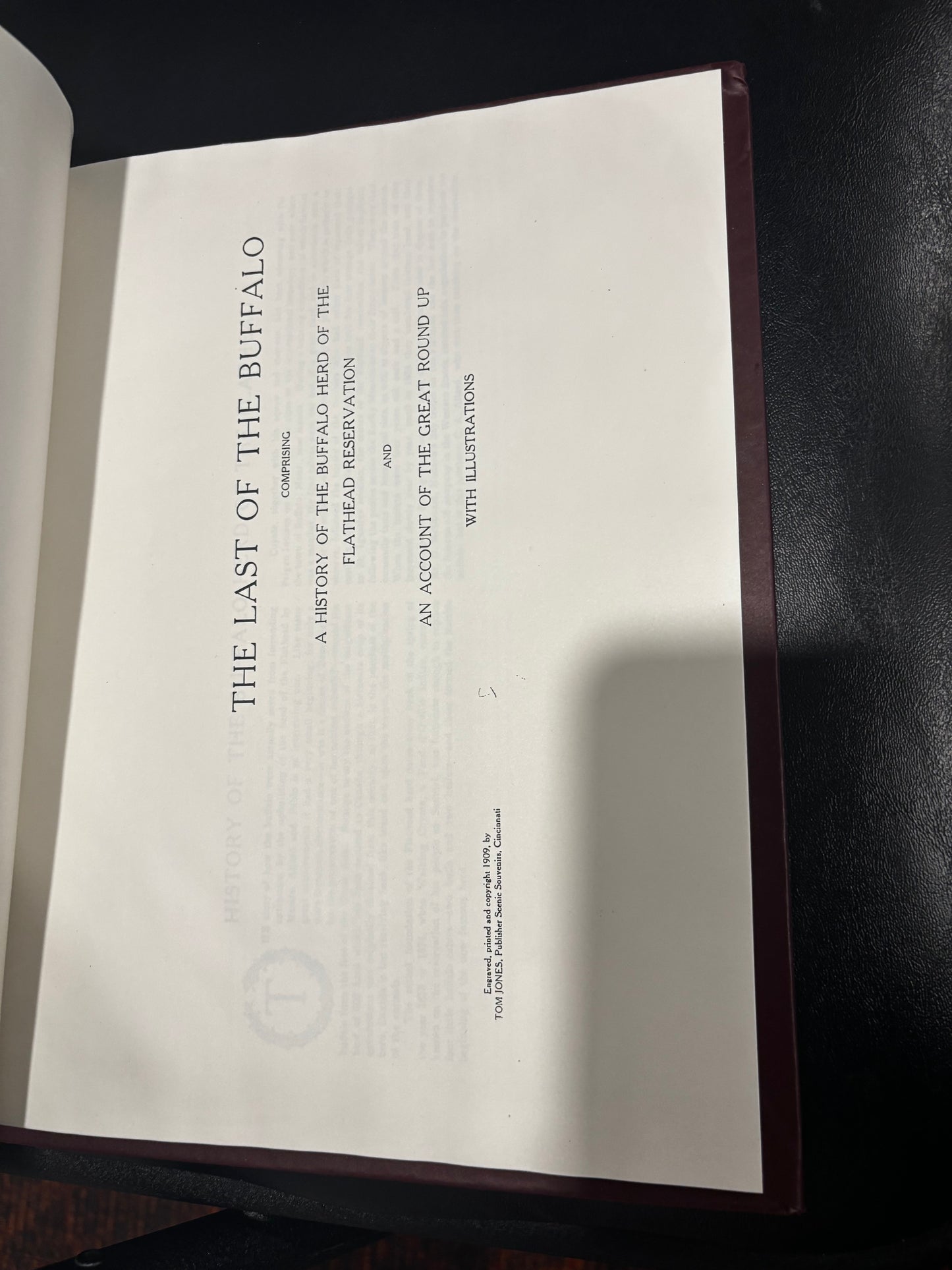 BOOKS - The Last of the Buffalo: Return to the Wild