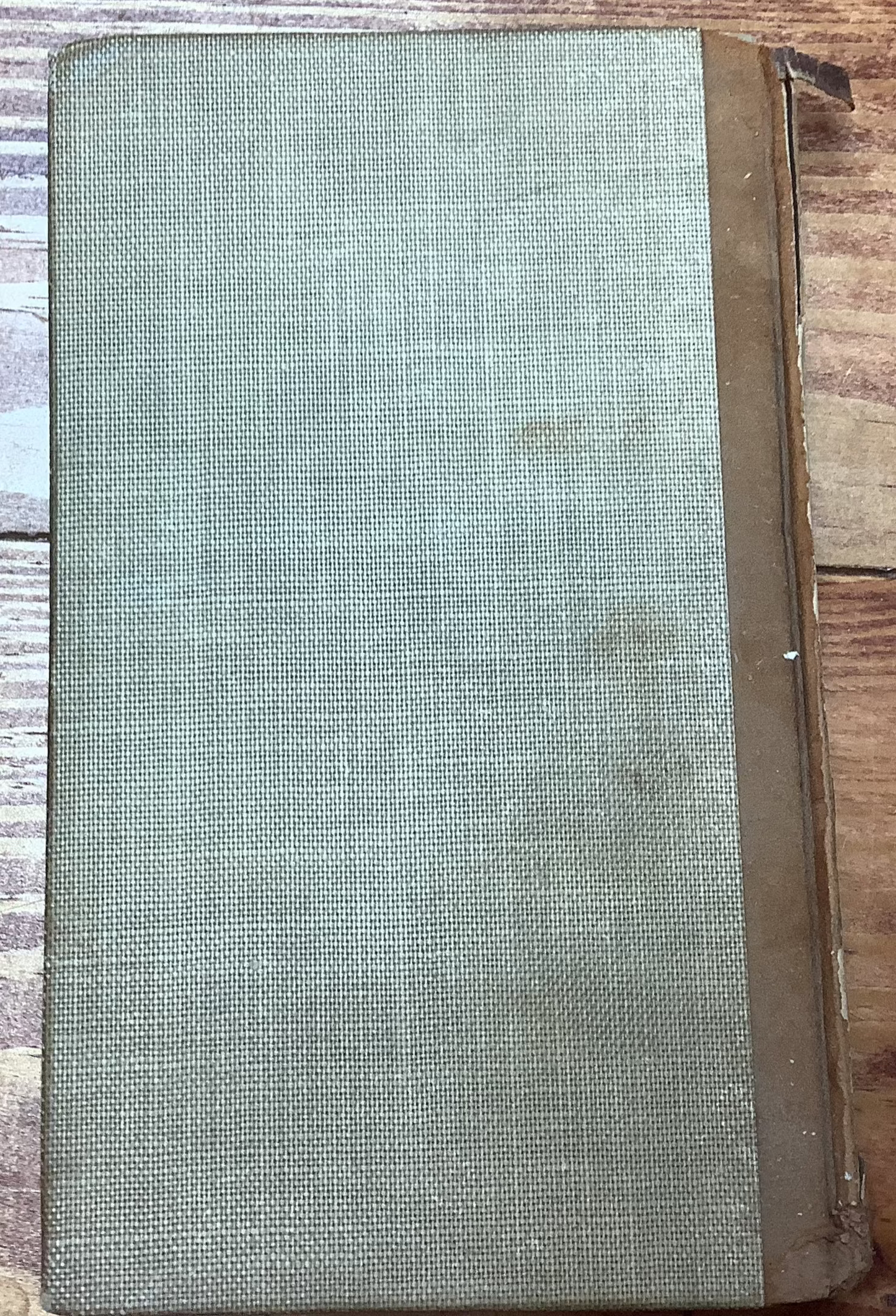 BOOKS - "Hunting Trips on the Prairie" by Theodore Roosevelt