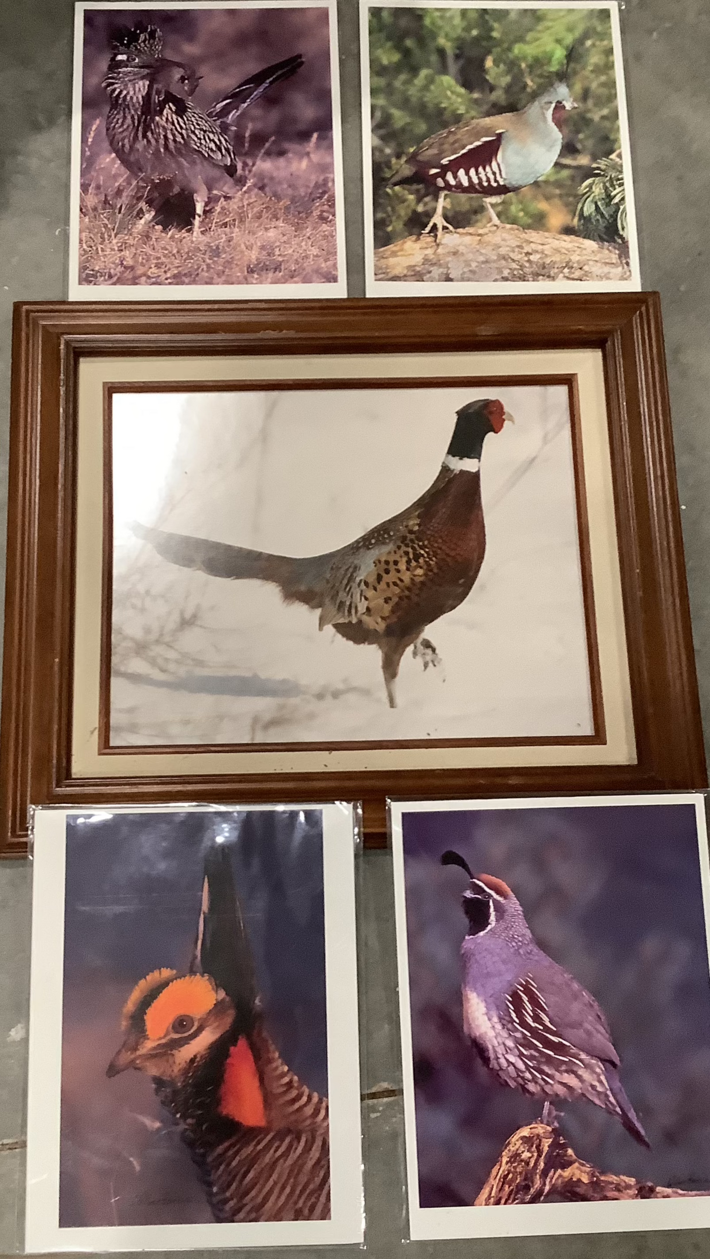 the Last Sets of Dick Wilberforce photographs