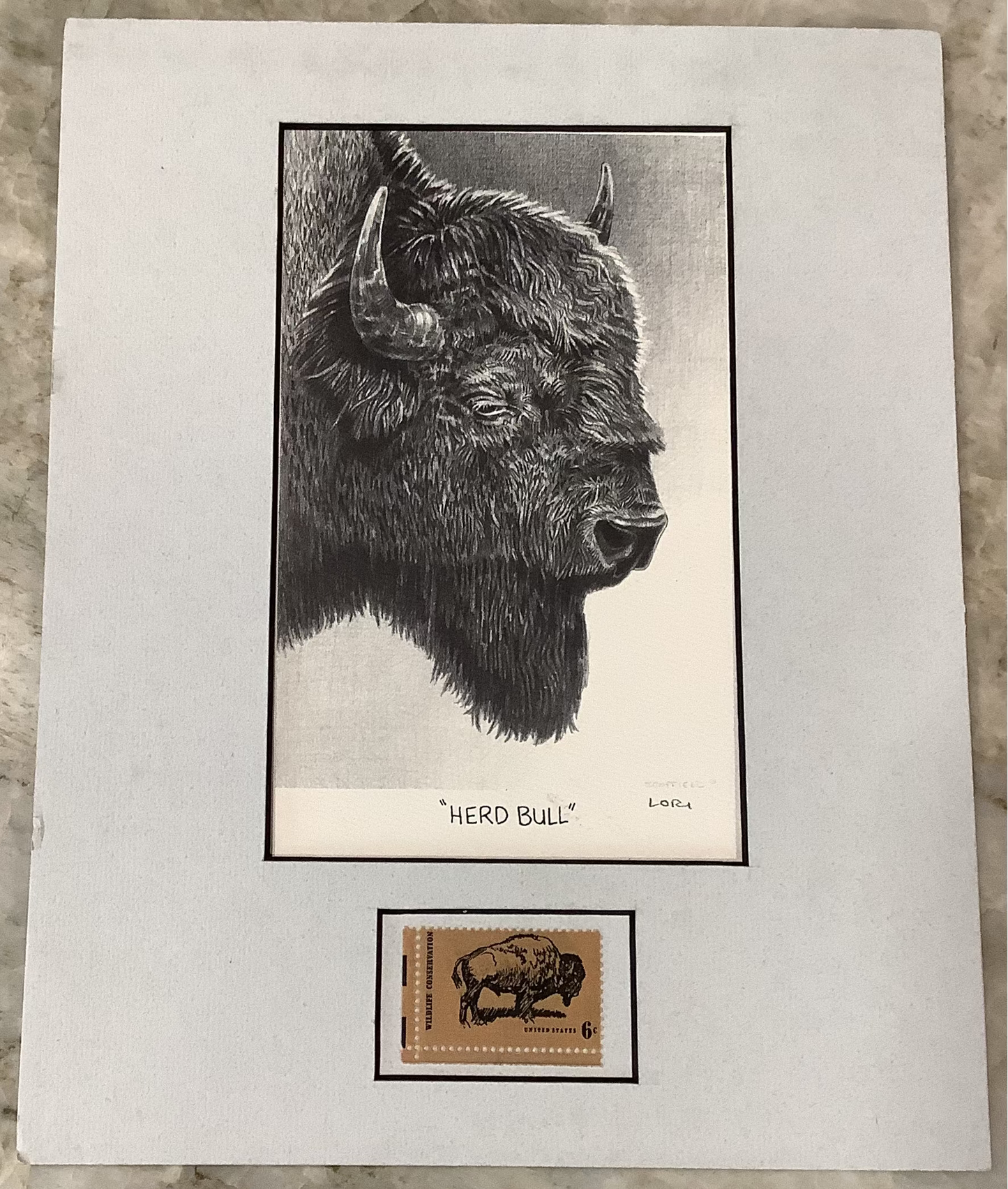 Herd Bull - Lori Scoffield