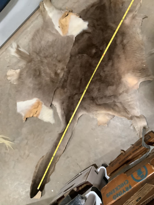 WHOLESALE LOT #28 - Ass End African Game hide pieces