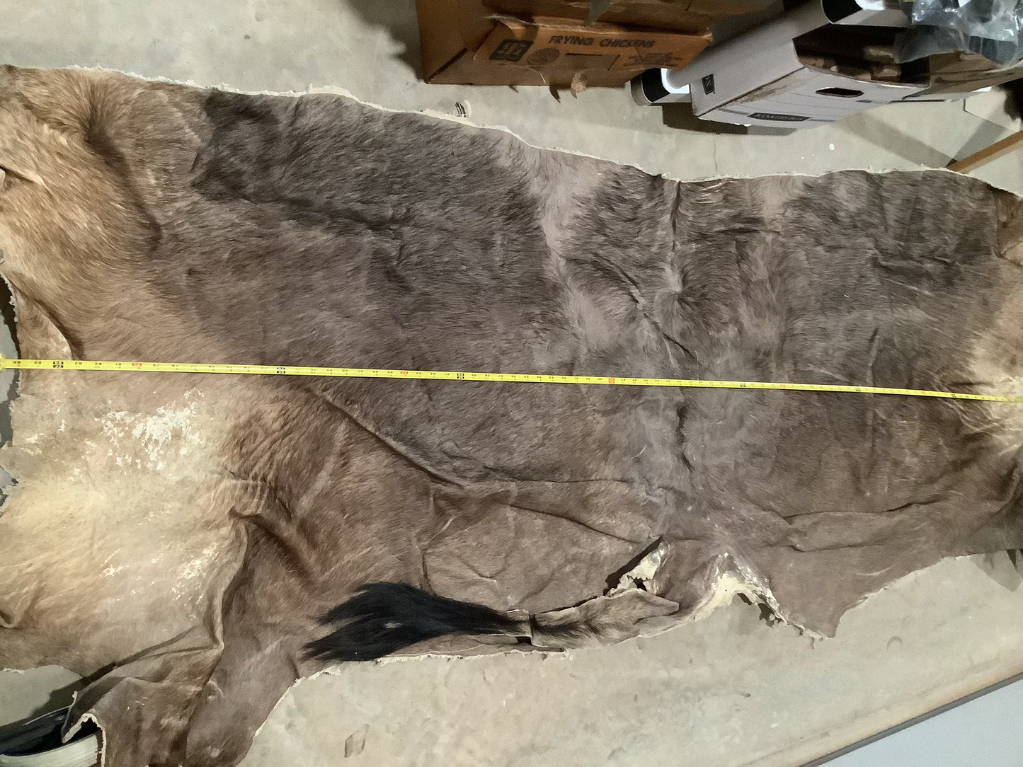 WHOLESALE LOT #28 - Ass End African Game hide pieces