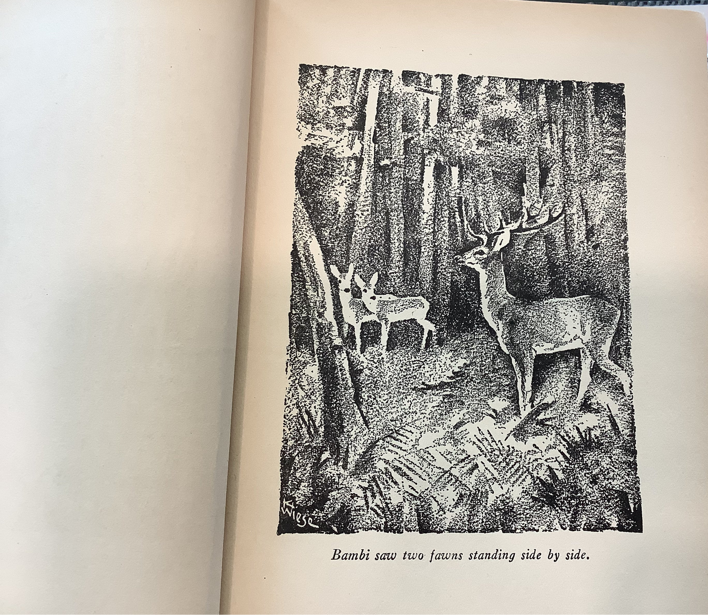 BOOKS - Bambi - A Life in the Woods - 1928