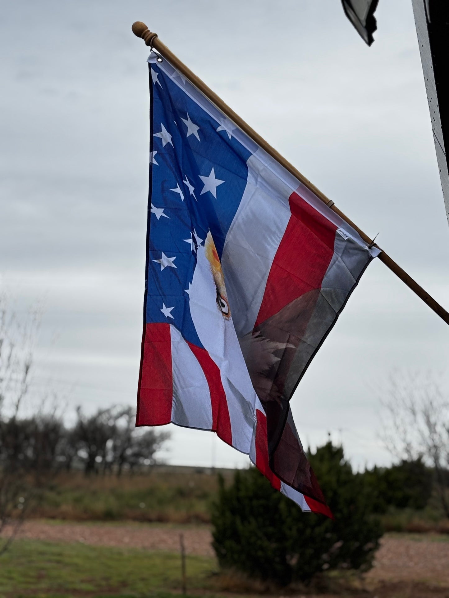 American Eagle Yard/Display Flag