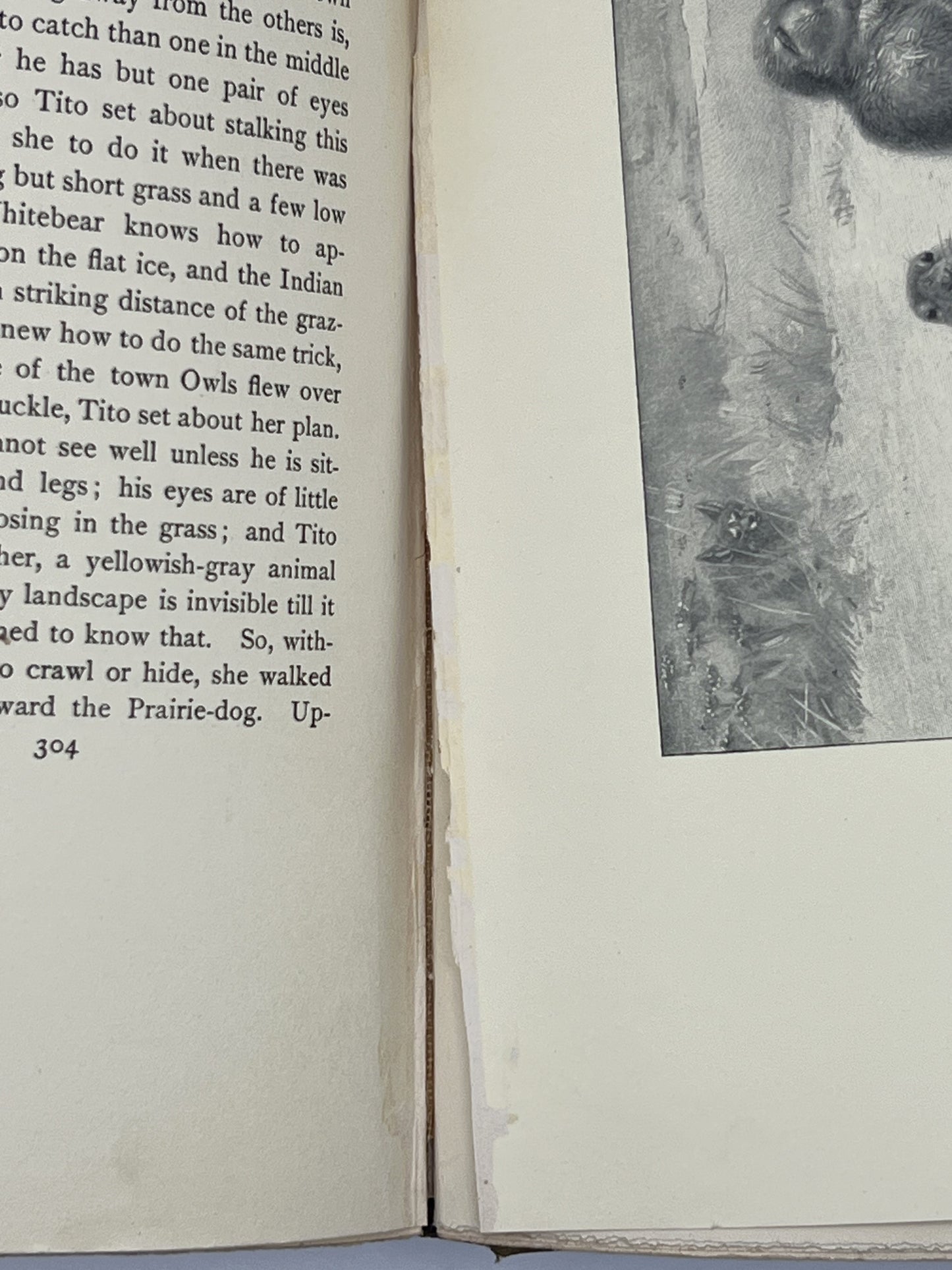 BOOKS - Lives of the Hunted - 1901