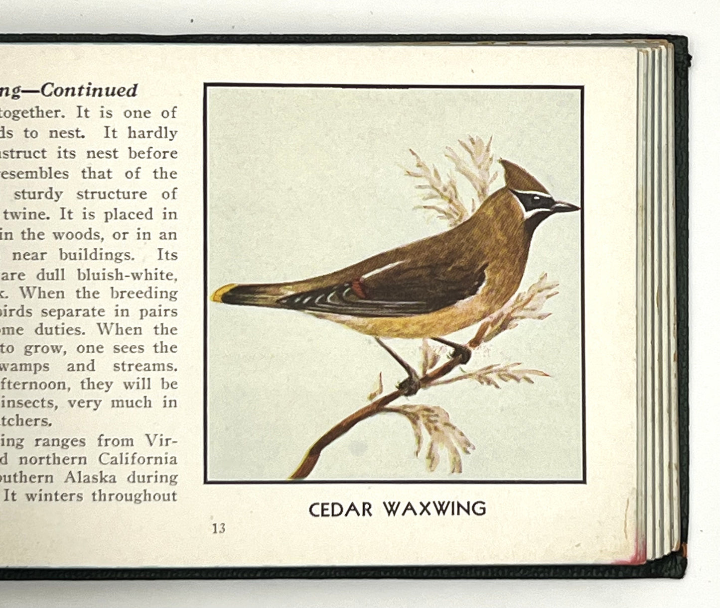 BOOKS - AMERICAN BIRDS; Frank G. Ashbrook, 1932.