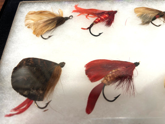 Fishing Fly Display and Box