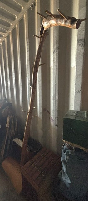 Twisted Tree Hat Rack