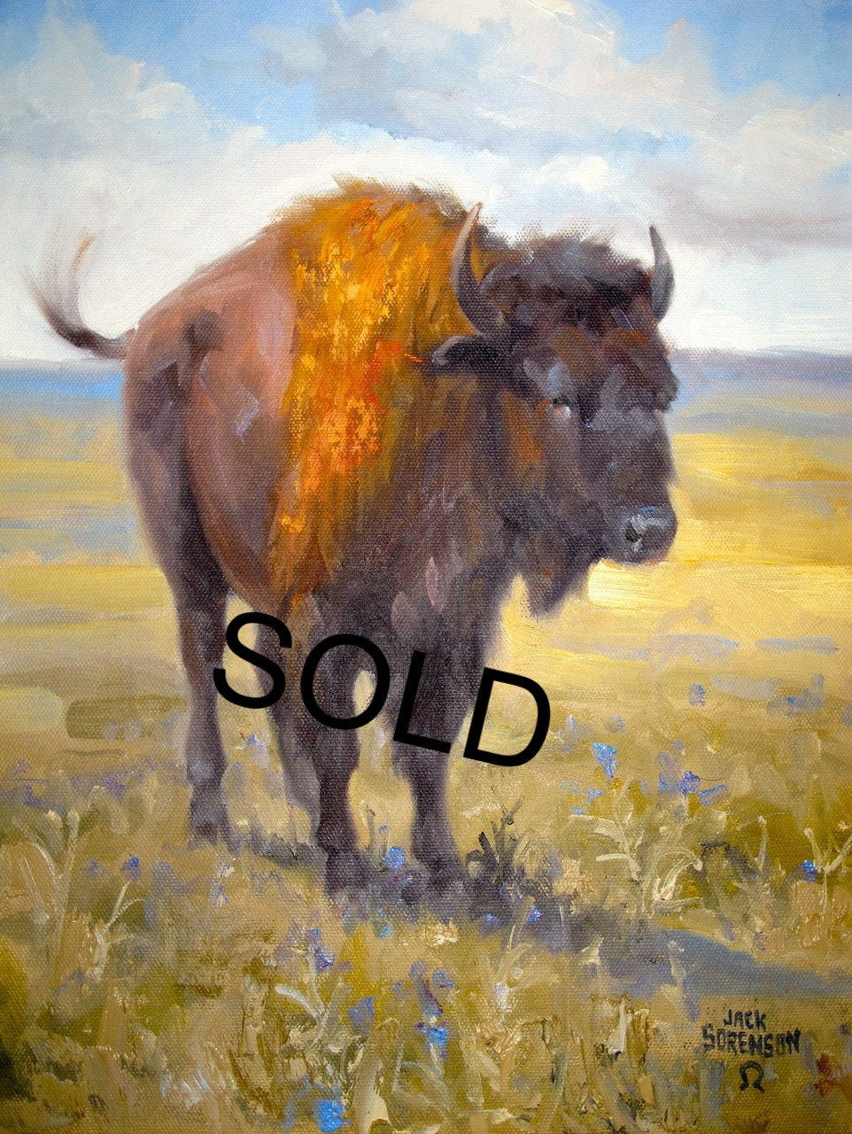 Jack Sorenson Field Study