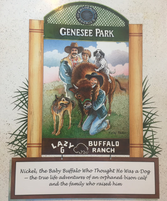 BOOKS - "The True Story of Nickel The Baby Buffalo"