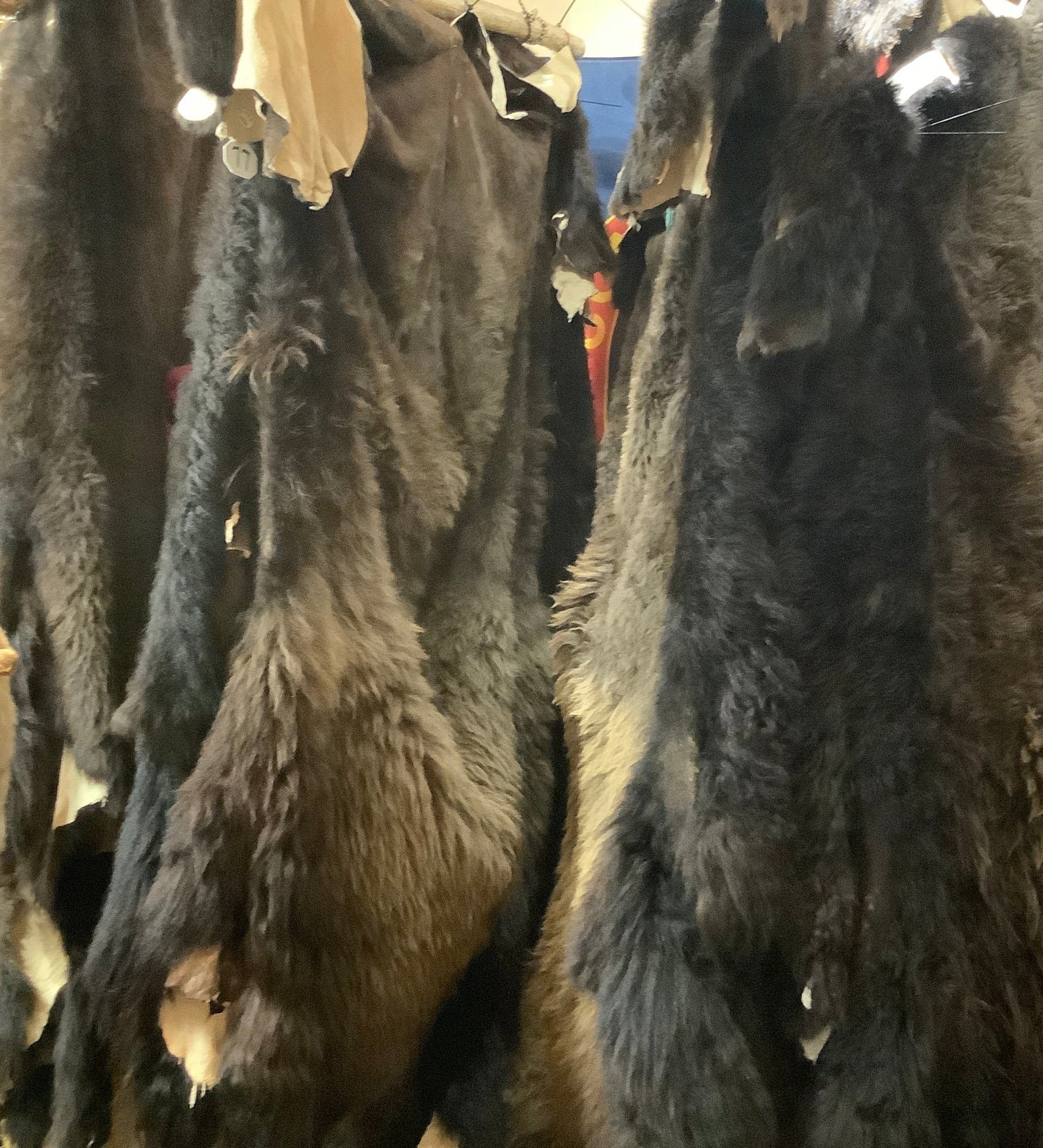 Absolutely Beautiful! - The 2025 garment tanned winter full hair bison robes have arrived!! - Full Hides