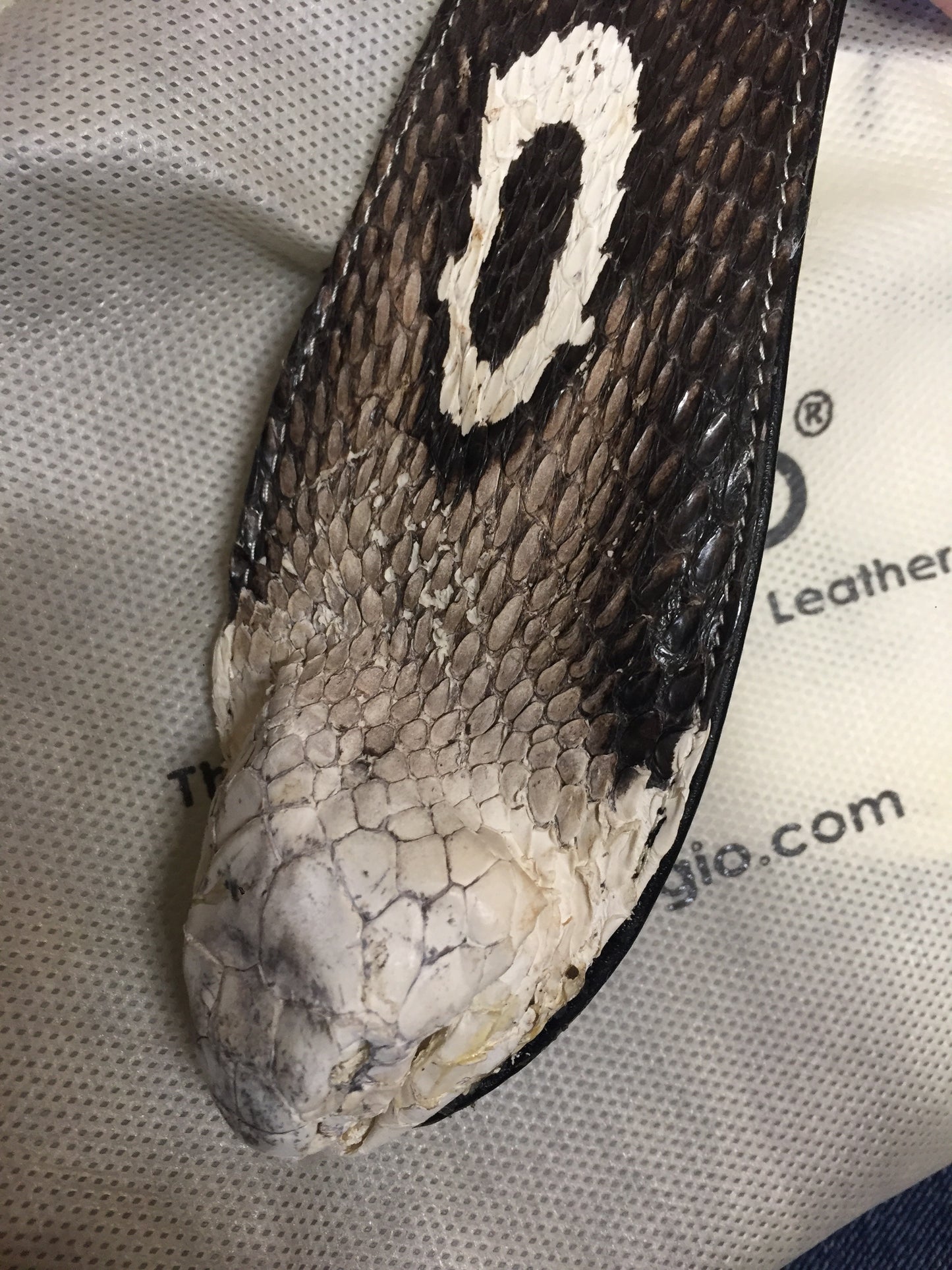 Cobra Skin Belt - One Size