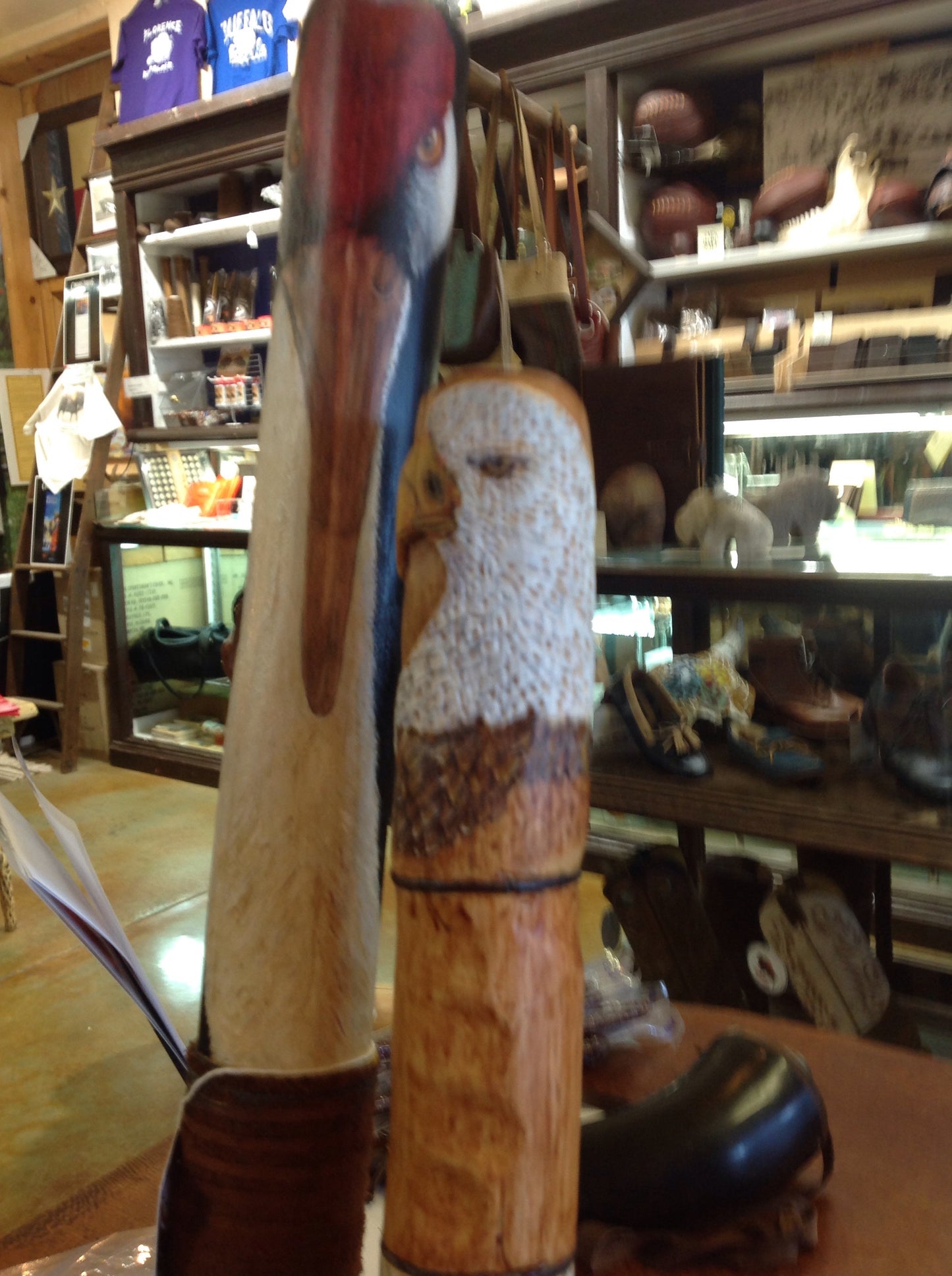 Walking Stick