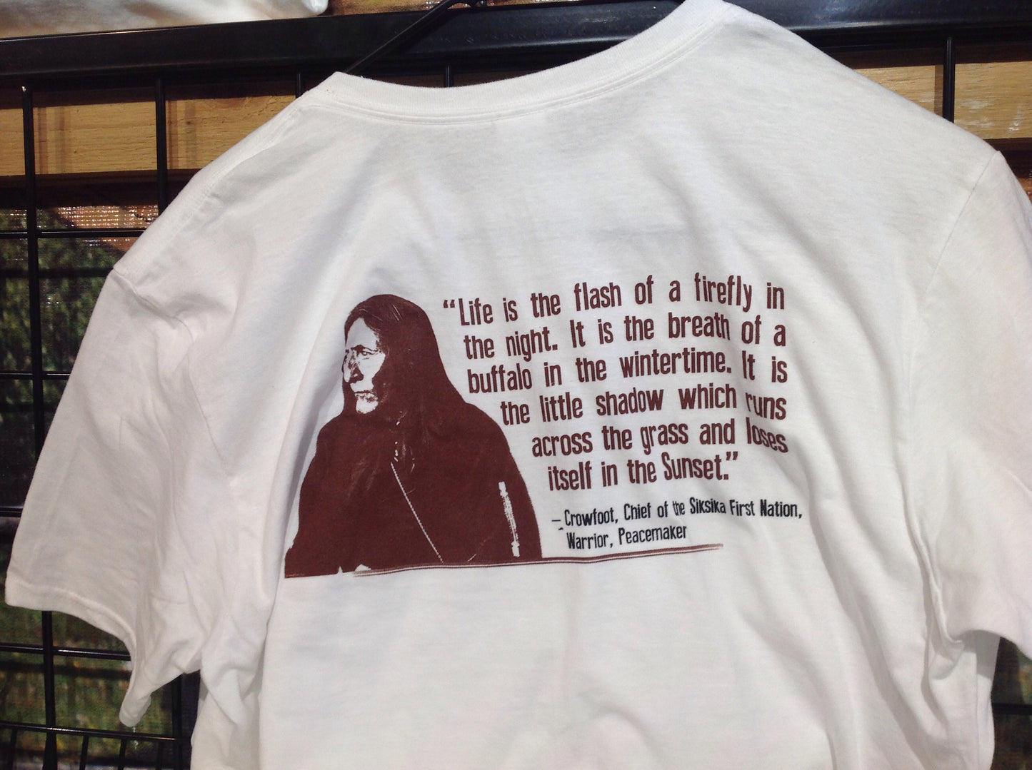 "Winter Bison" T-shirts