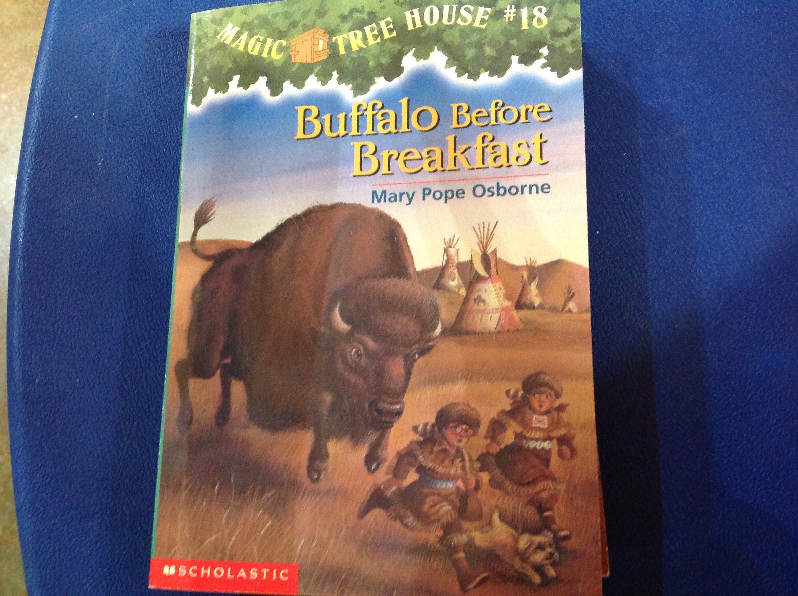 BOOKS - Buffalo Before Breakfast