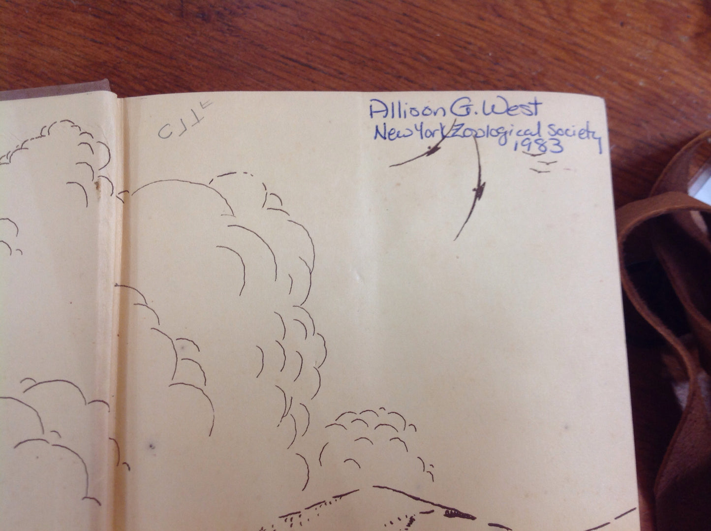 BOOKS - The American Bison: The Story of its Extermination as a Wild Species and its Restoration Under Federal Protection