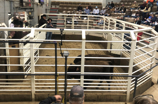 The year is almost up ... but so much more to come