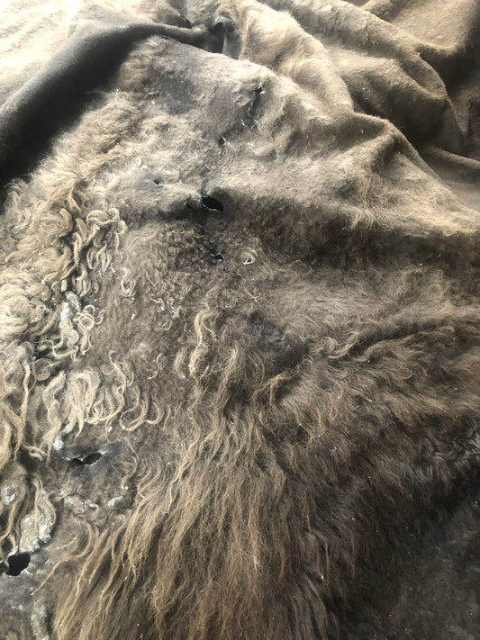 2021 - Month 3 - The "Hides" of March