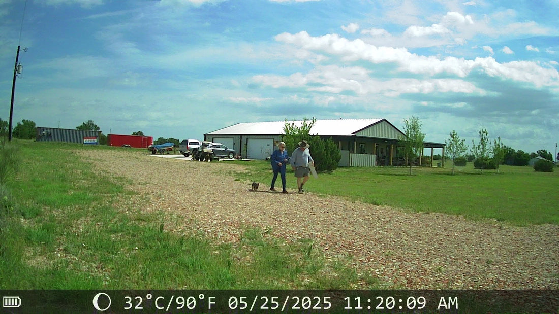 Thursday is ... Wednesday??