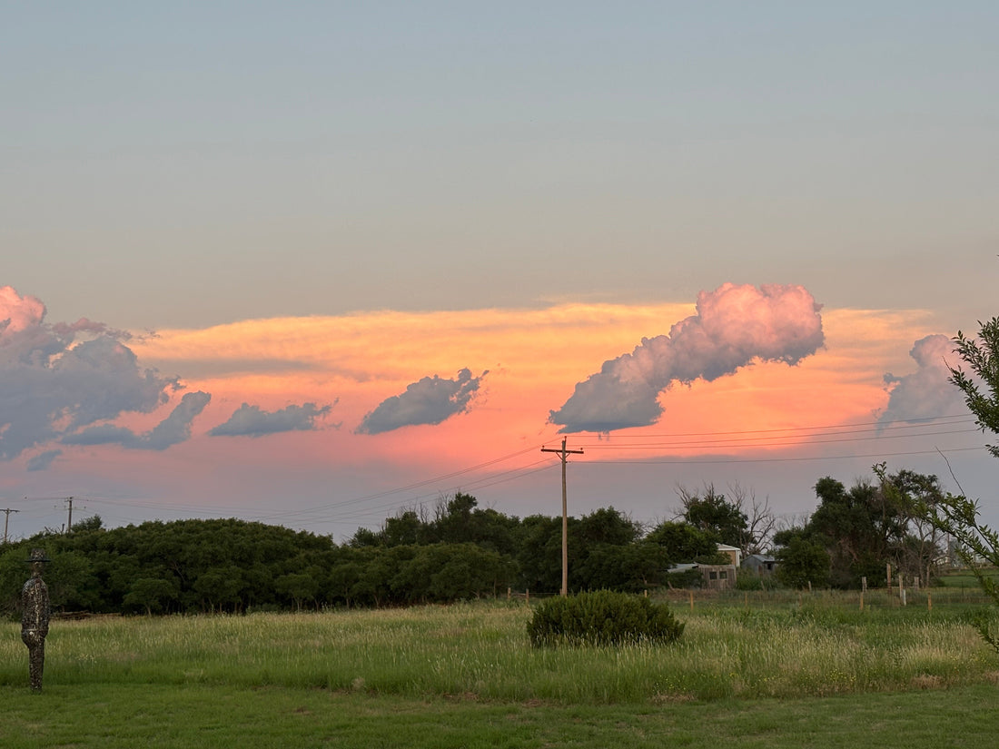 At Last!  The calm before the ......