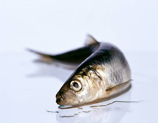 Totally unrelated .... almost.