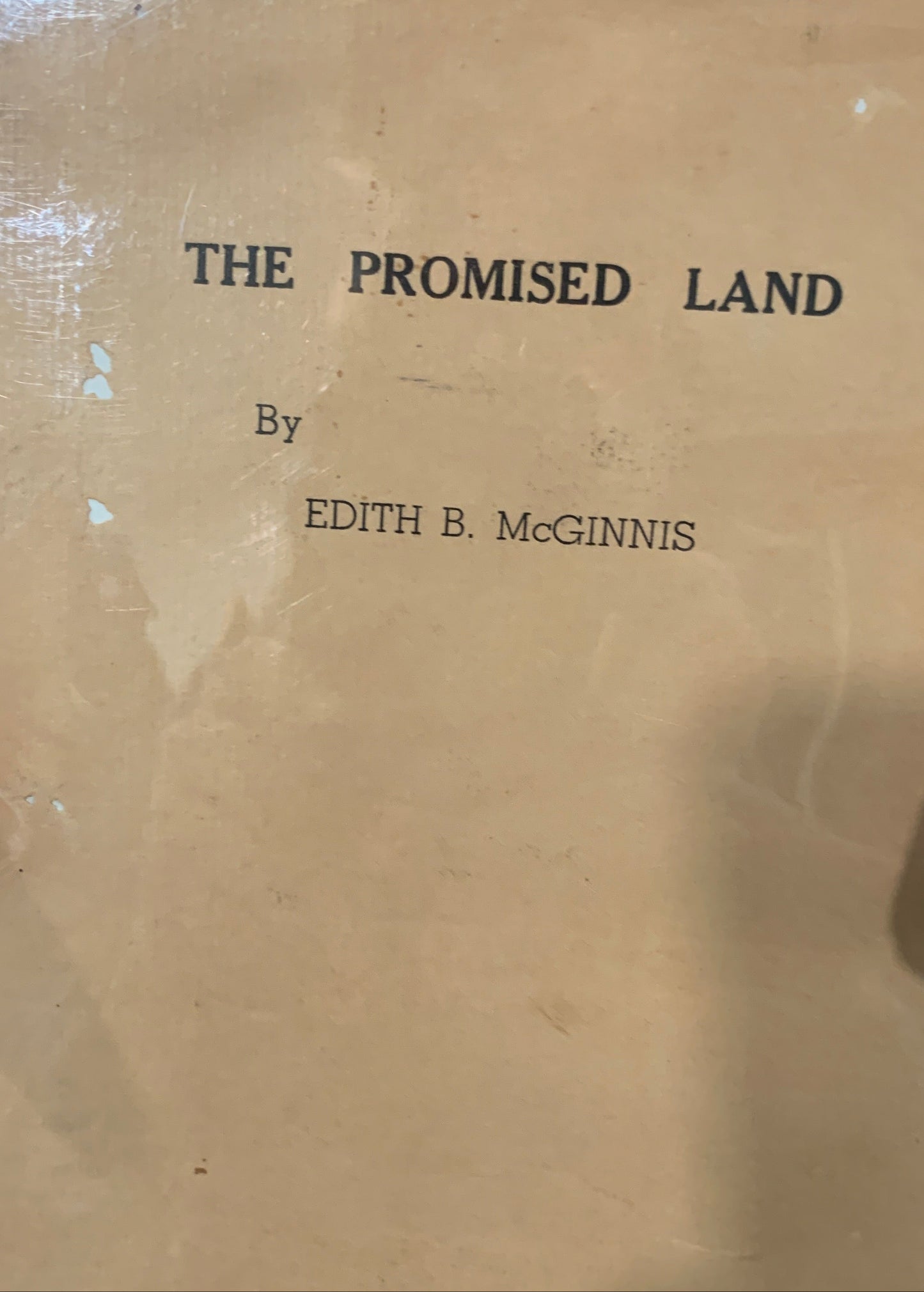 BOOKS - The Promised Land