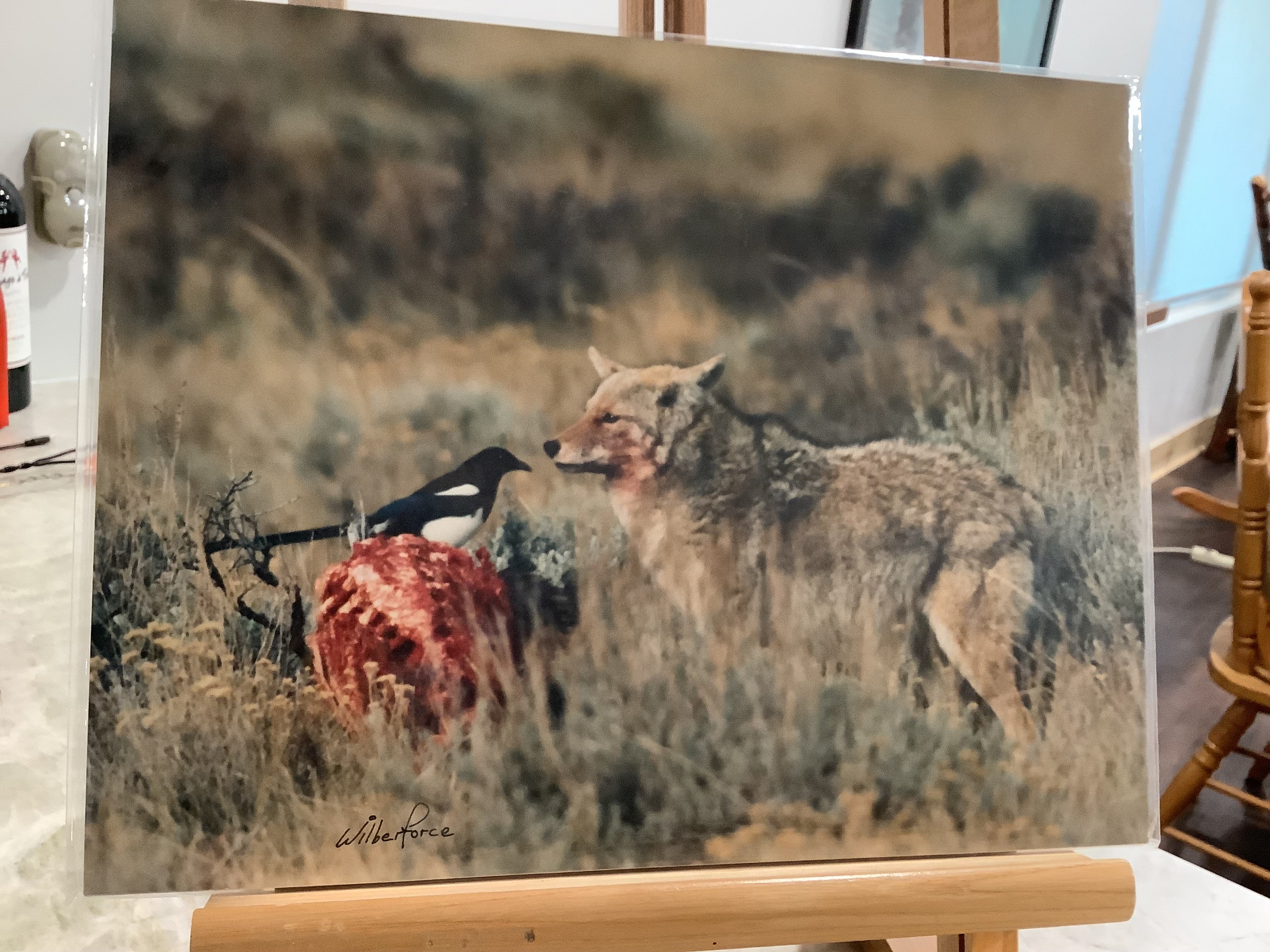 The Second Dick Wilberforce Wildlife grouping ... these unframed prints (with our usual $5.95 flat rate shipping)