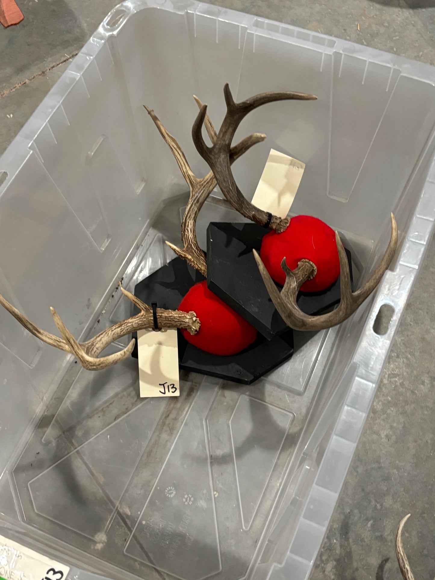 8 whitetail deer antler mount/plaques