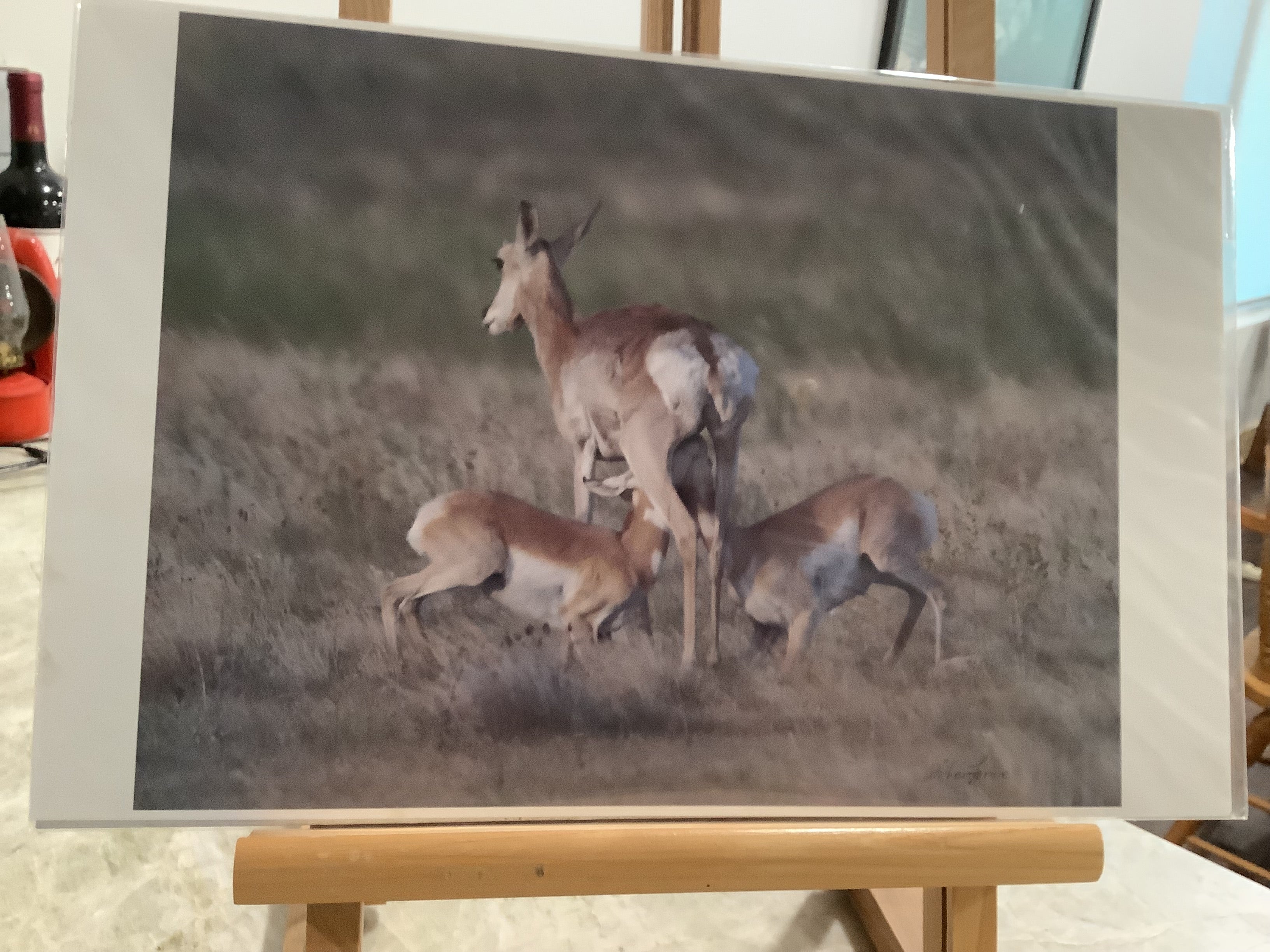 The Third set of  Dick Wilberforce Wildlife grouping ... more cheaper yet unframed prints