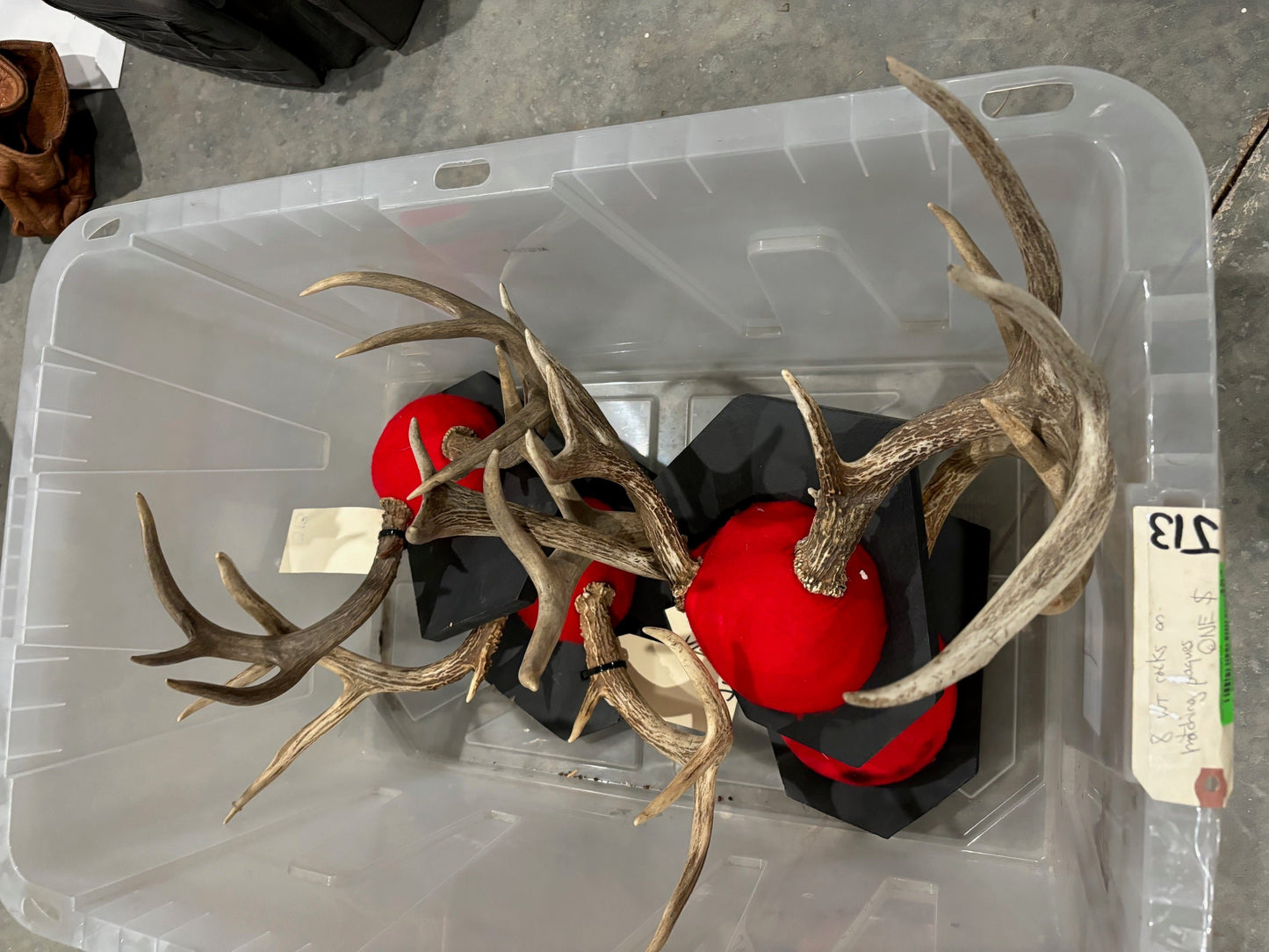 8 whitetail deer antler mount/plaques