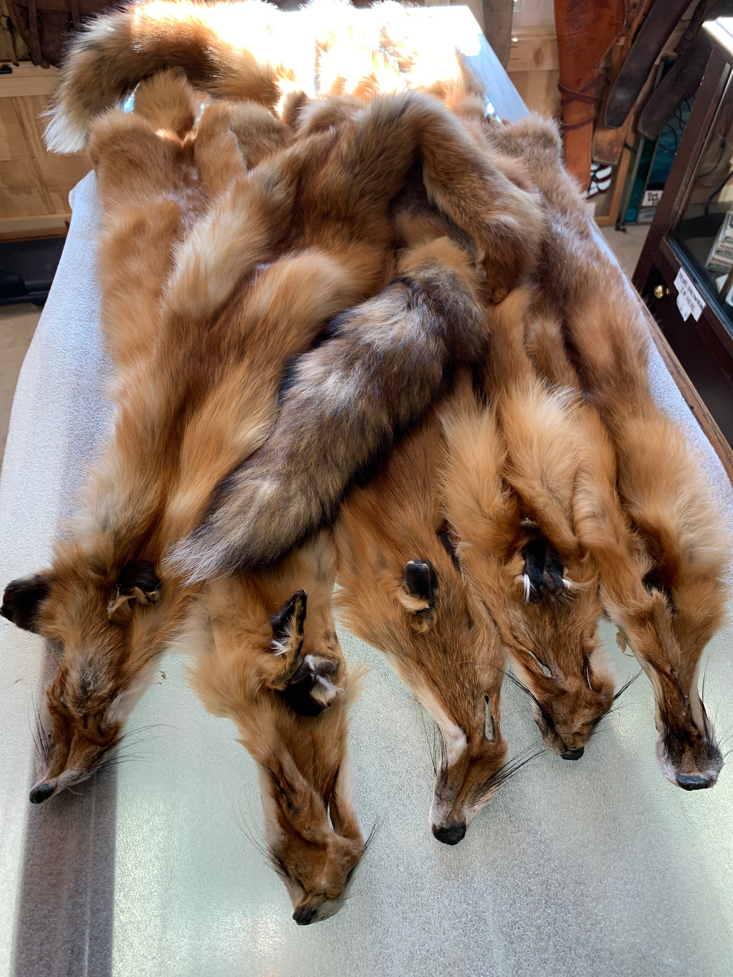 Furs, pelts and hides (other than bison)