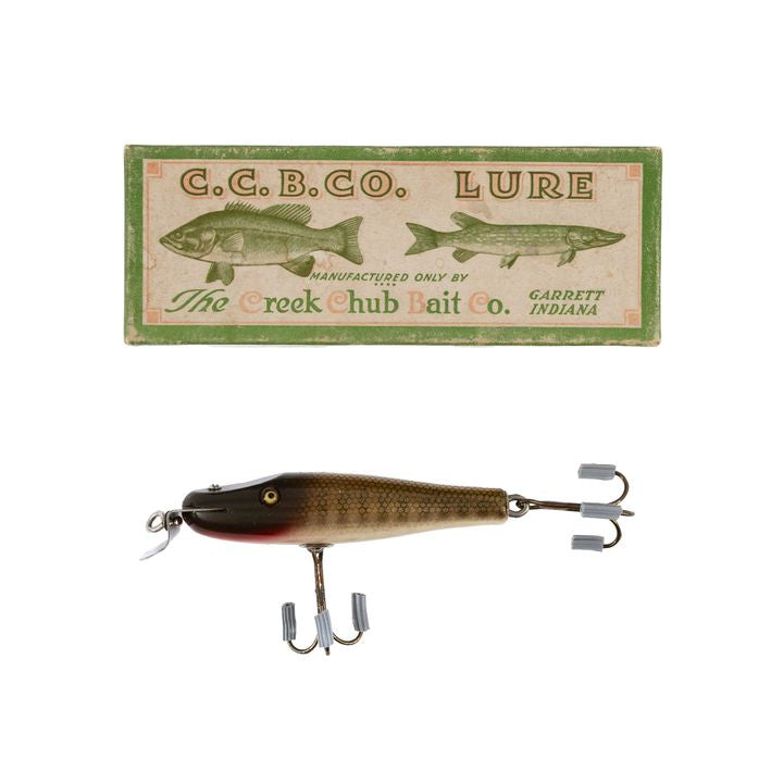 Creek Chub - "Pikie Minnow"