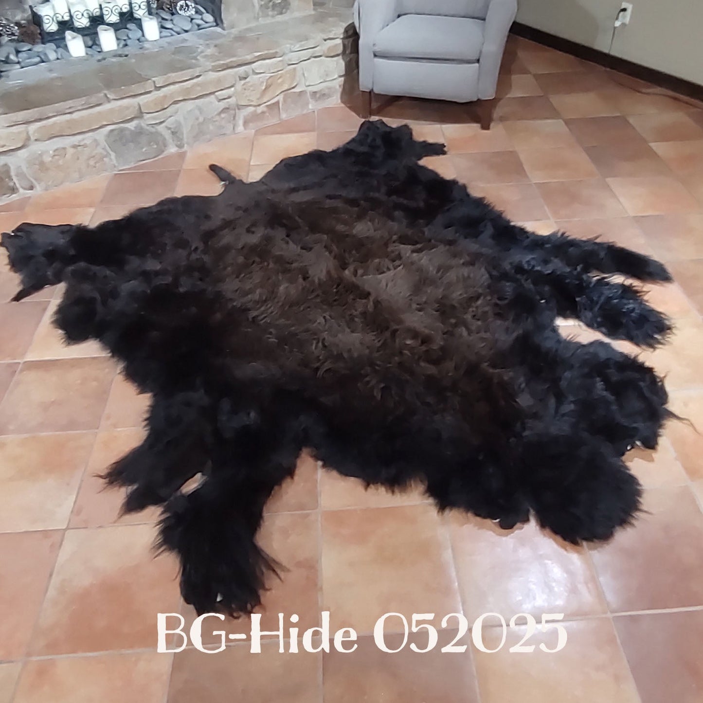 Bison (Buffalo) Hide / Robes