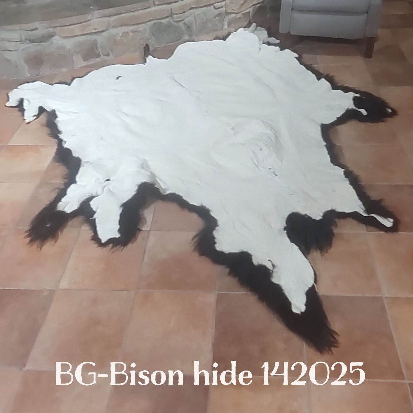 Bison (Buffalo) Hide / Robes