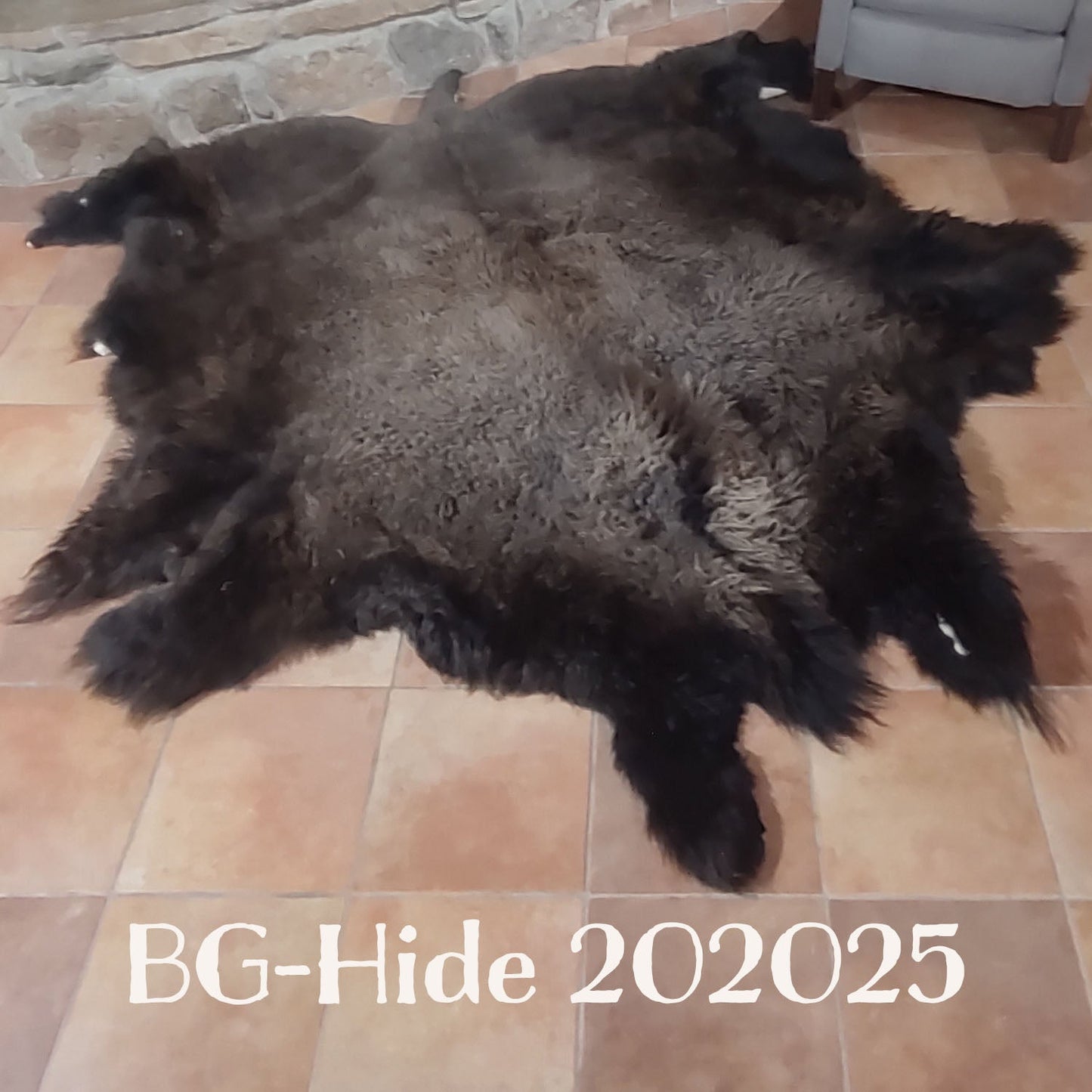 Bison (Buffalo) Hide / Robes