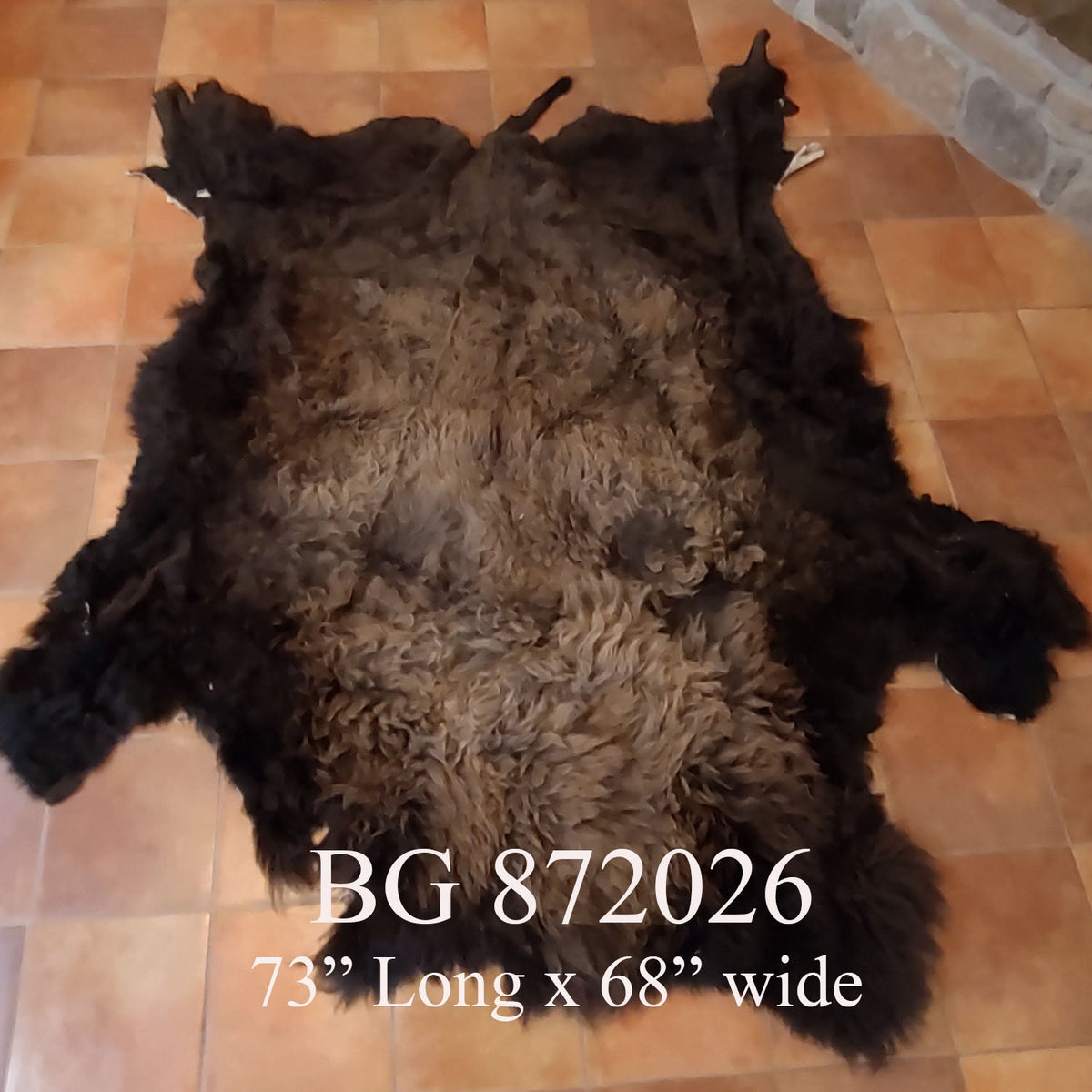 Bison (Buffalo) Hide / Robes