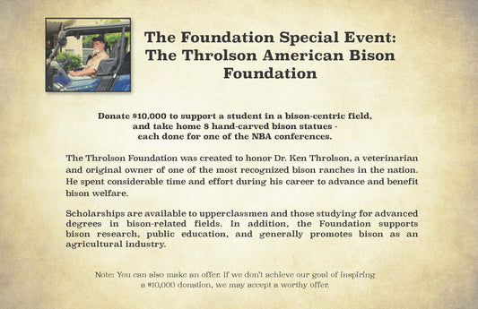 The Doc Ken Throlson Carved bison head collection - Wow!