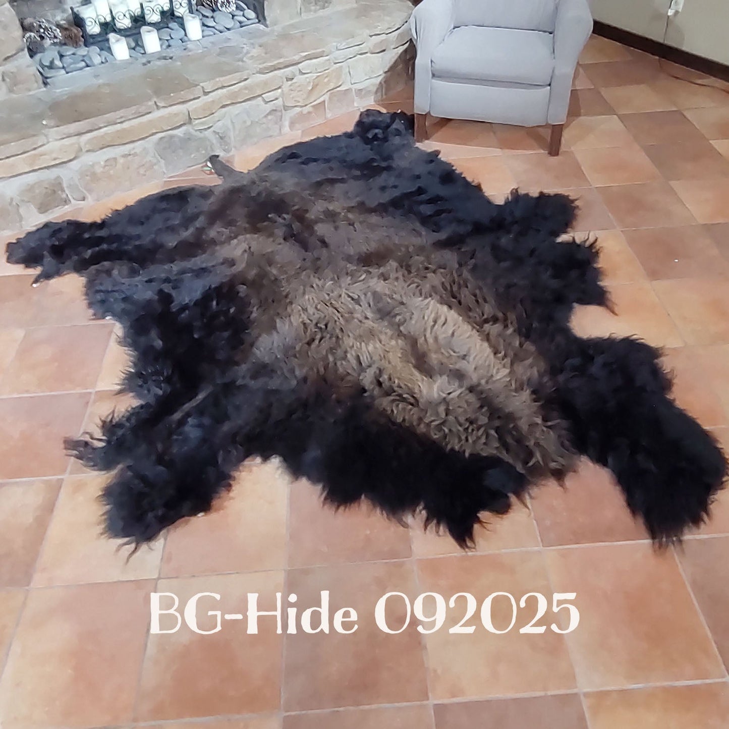 Bison (Buffalo) Hide / Robes