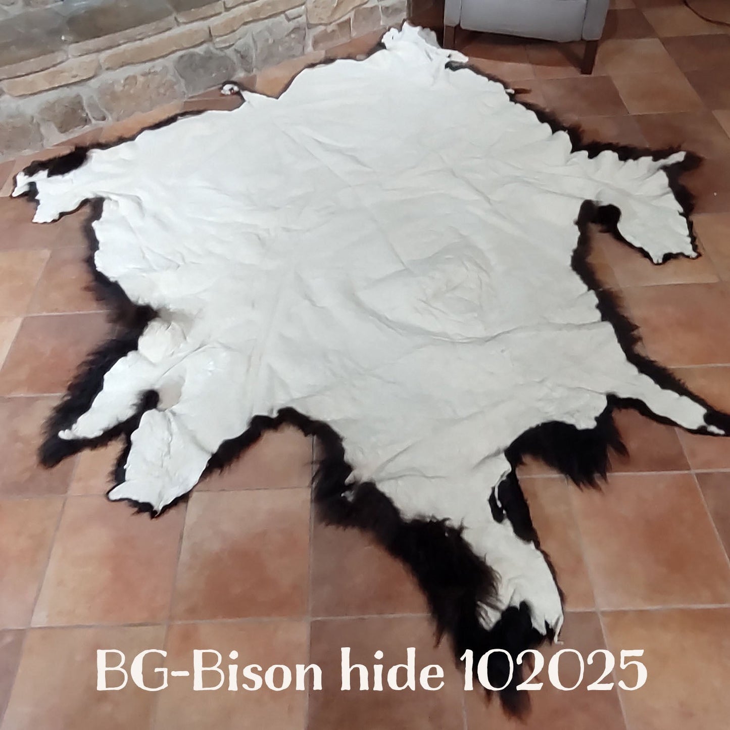 Bison (Buffalo) Hide / Robes