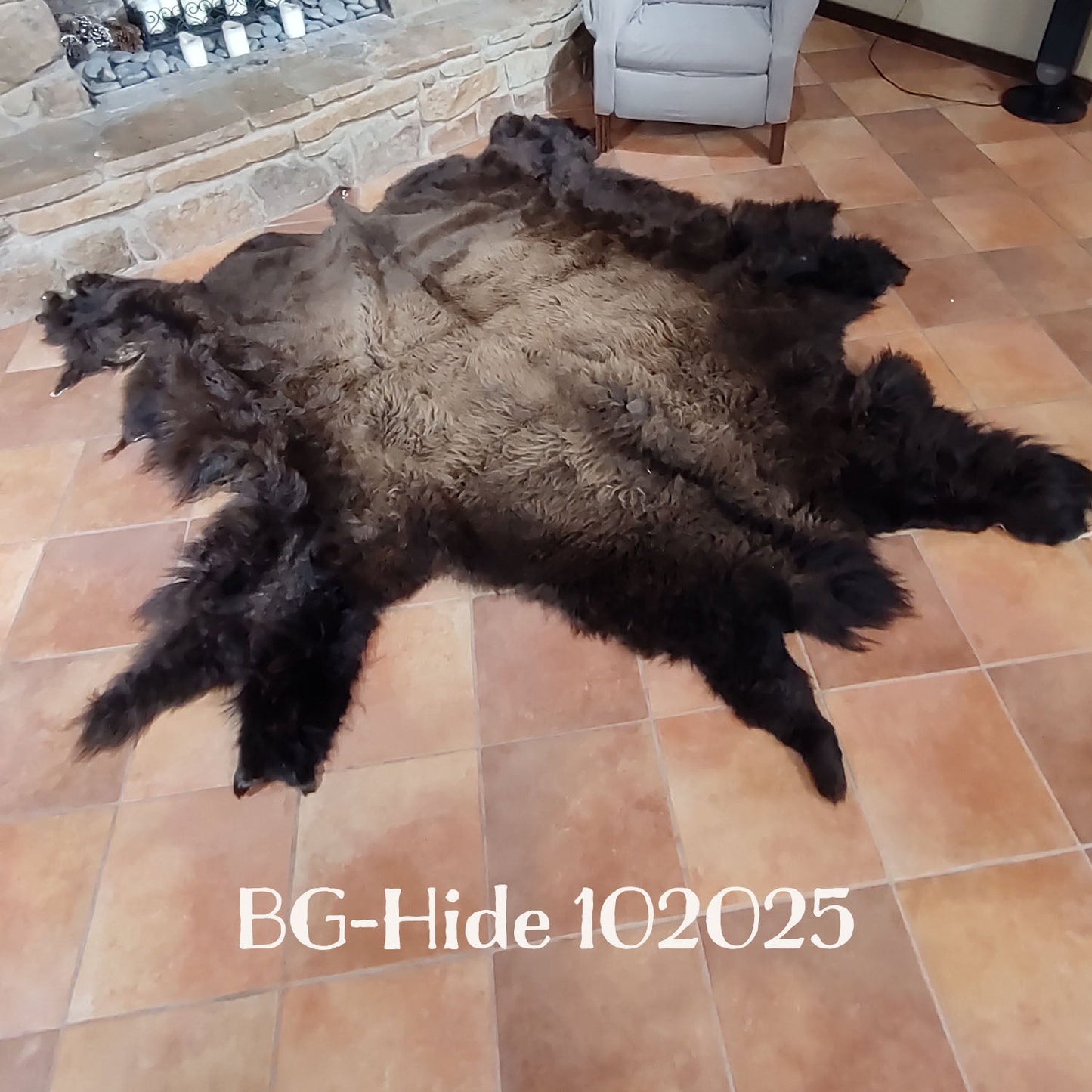 Bison (Buffalo) Hide / Robes