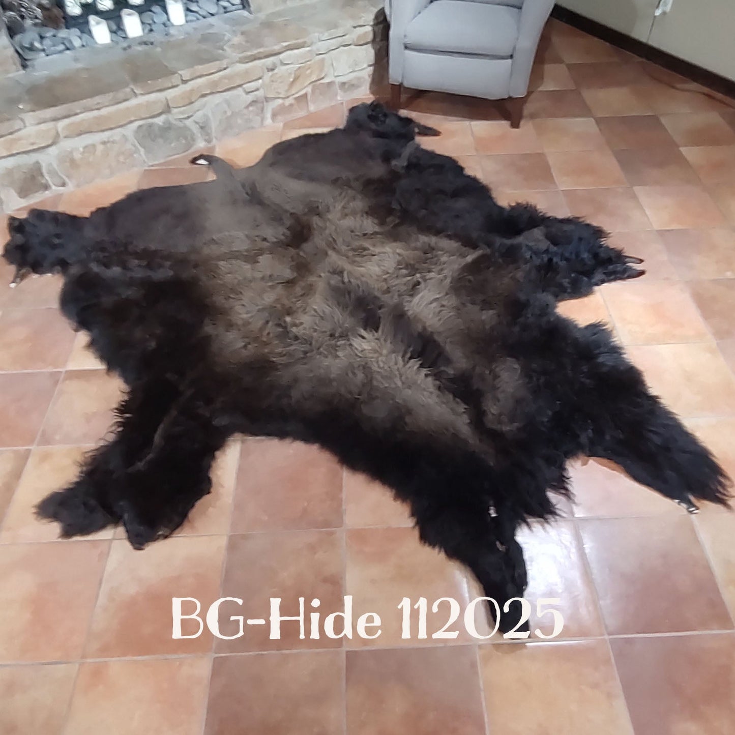 Bison (Buffalo) Hide / Robes