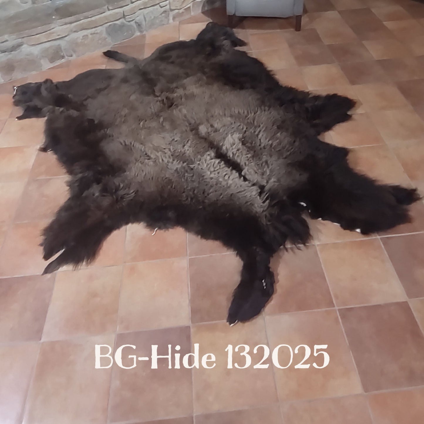 Bison (Buffalo) Hide / Robes