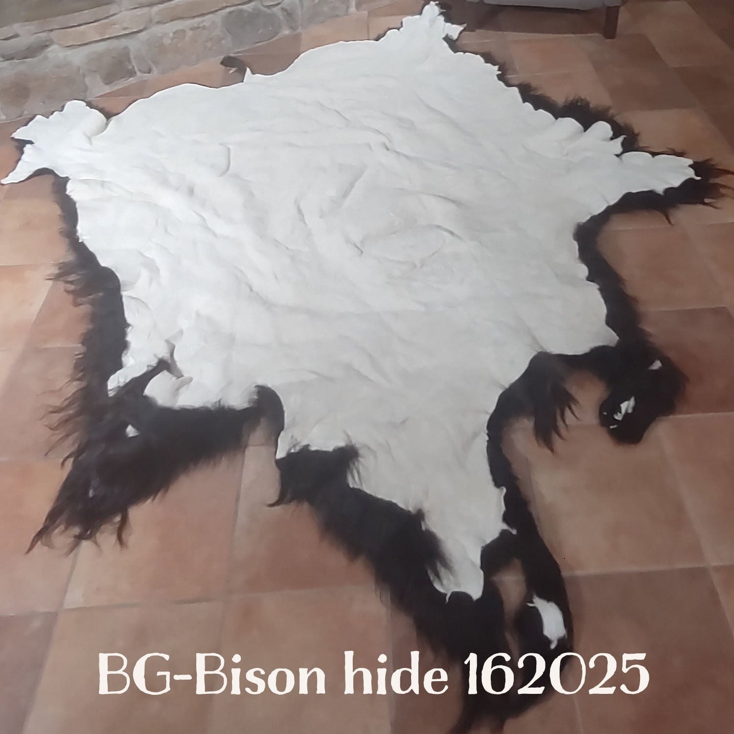 Bison (Buffalo) Hide / Robes