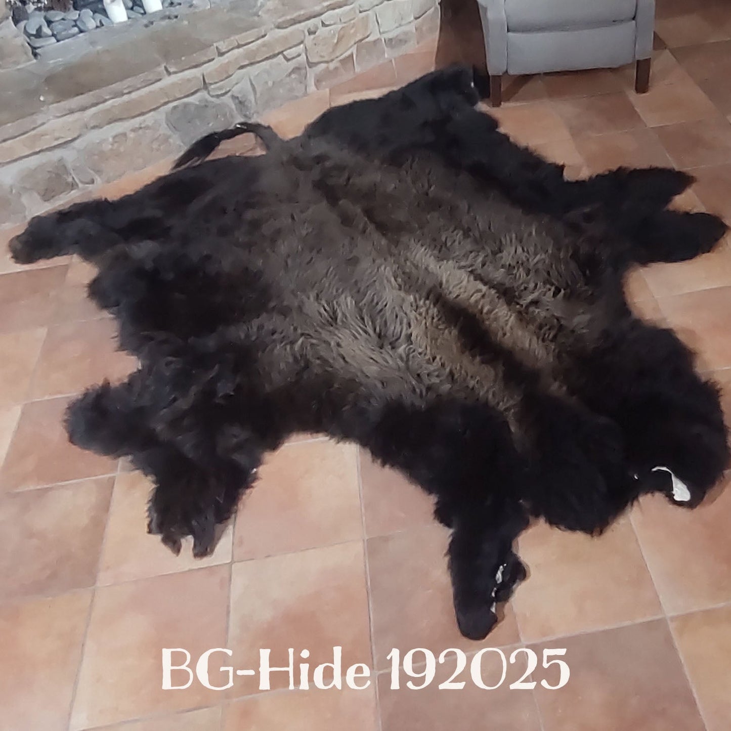 Bison (Buffalo) Hide / Robes