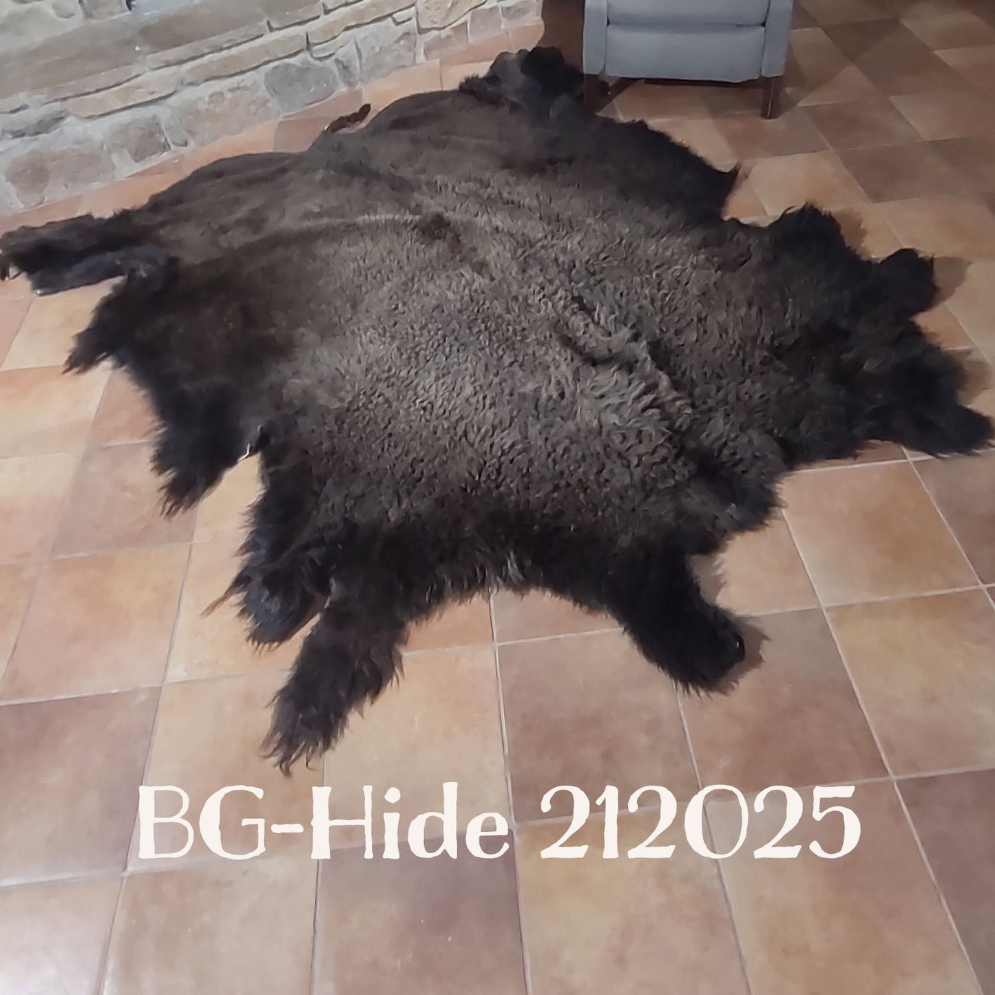 Bison (Buffalo) Hide / Robes