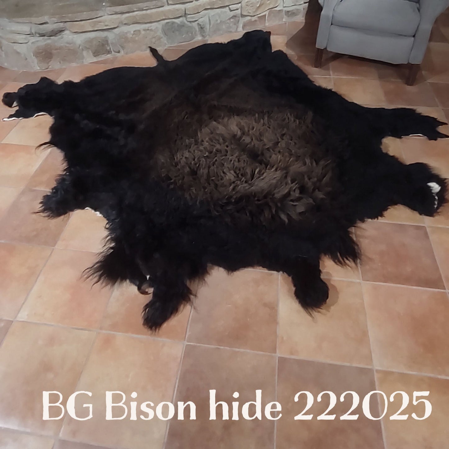 Bison (Buffalo) Hide / Robes