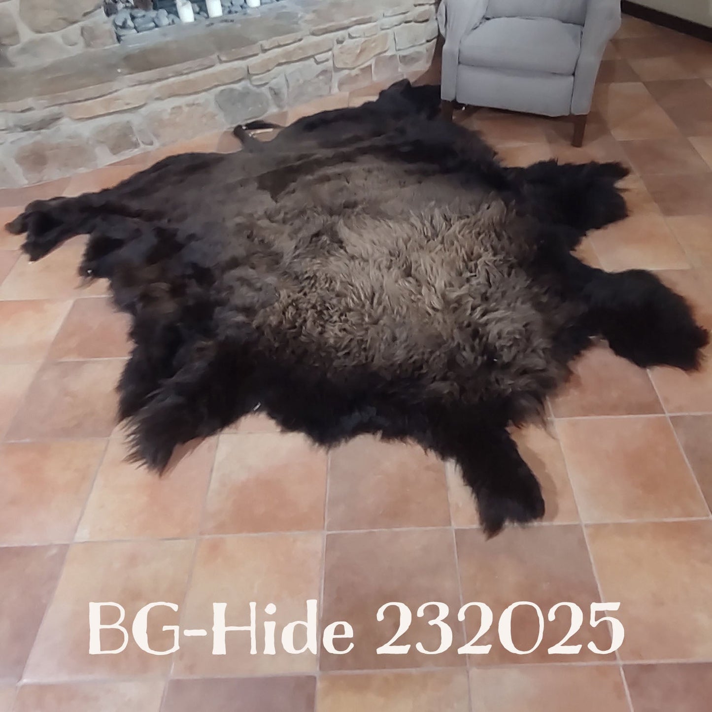 Bison (Buffalo) Hide / Robes