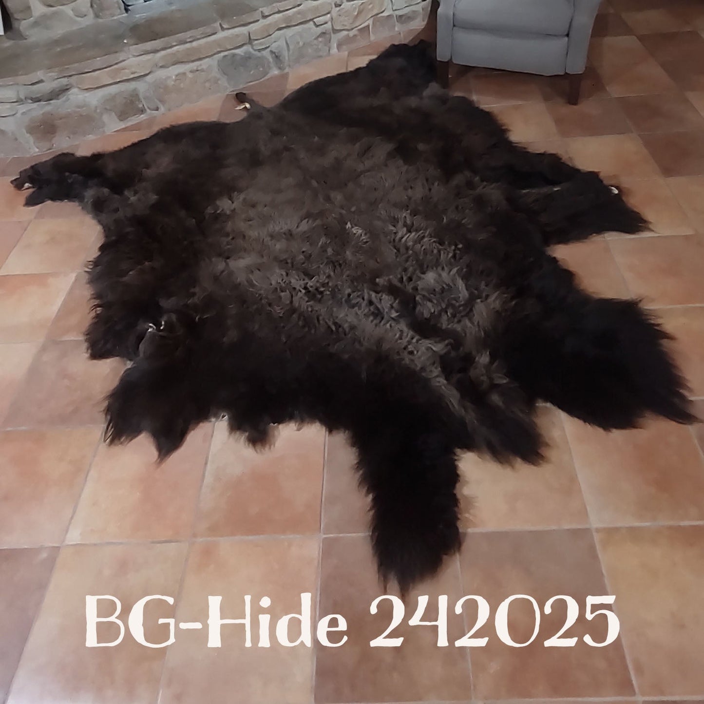 Bison (Buffalo) Hide / Robes